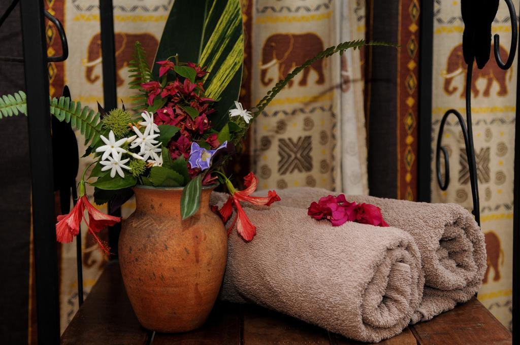Zigzag Town Lodge Livingstone Rom bilde